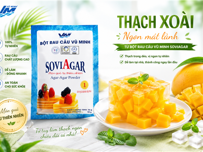 Thạch xoài – Món ngon hấp dẫn từ bột rau câu Vũ Minh Soviagar
