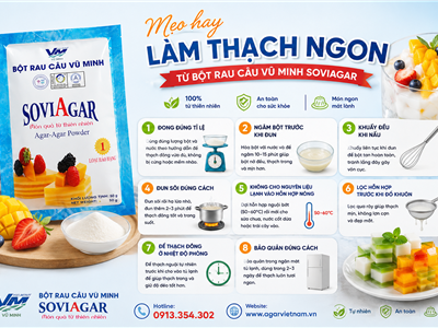Mẹo Hay Làm Thạch Ngon Từ Bột Rau Câu Vũ Minh SOVIAGAR