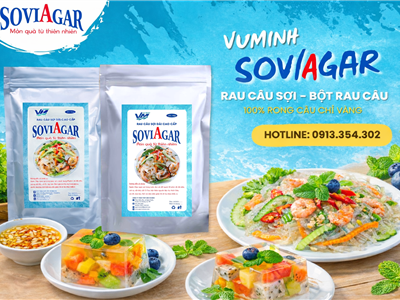 Bí Quyết Chế Biến Món Ngon Đỉnh Cao Từ Rau Câu Sợi Và Bột Rau Câu Soviagar