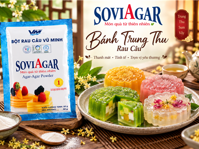 Bánh Trung Thu Rau Câu SoviAgar – Cách Làm Đẹp Mắt, Thanh Mát Cho Mùa Trung Thu