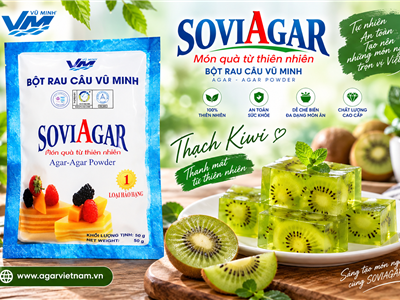 Thạch Kiwi SOVIAGAR – Món Tráng Miệng Thanh Mát, Trong Đẹp, Dễ Làm Tại Nhà