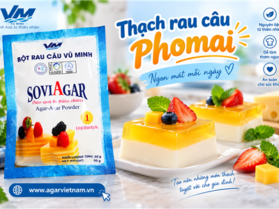 Thạch Rau Câu Phomai Thơm Béo, Mát Lạnh – Công Thức Dễ Làm Tại Nhà | SOVIAGAR