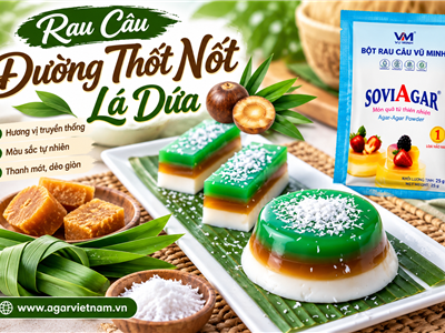 Cách Làm Rau Câu Đường Thốt Nốt Lá Dứa Thơm Ngon, Nhiều Lớp Đẹp Mắt  